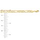 10k Gold 5.35mm Open Figaro bracelet